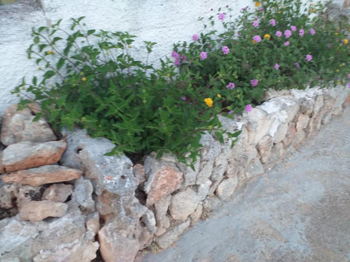 La Villa Di Luca Ostuni Exterior foto